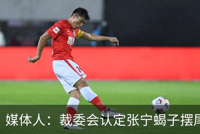 媒体人：裁委会认定张宁蝎子摆尾是裁判漏判 回看维持原判属误判