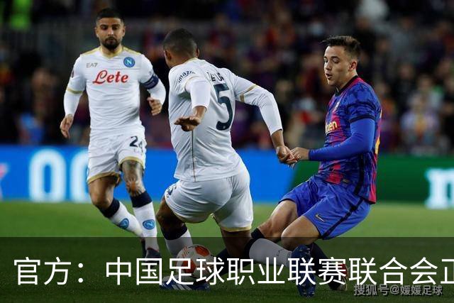官方：中国足球职业联赛联合会正式成立