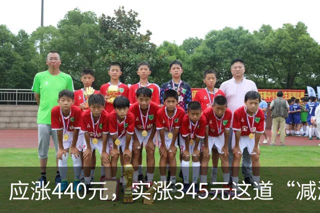 应涨440元，实涨345元这道“减涨”在平衡什么