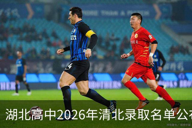 湖北高中2026年清北录取名单公布