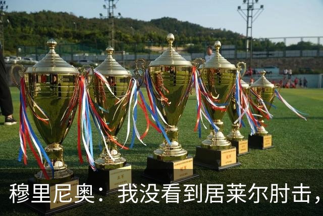 穆里尼奥：我没看到居莱尔肘击，有人看到清晰的画面了吗？