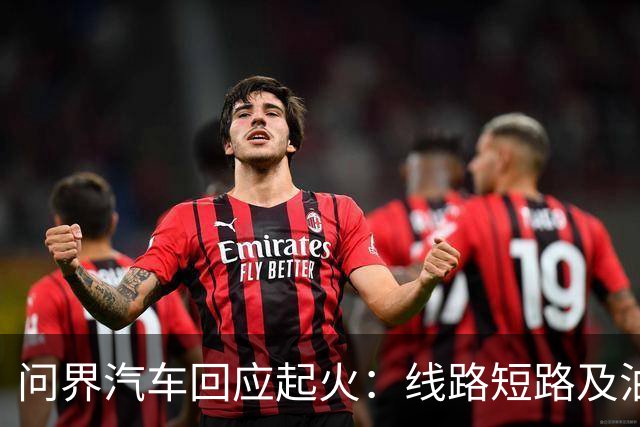 问界汽车回应起火：线路短路及油液泄露导致起火